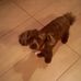 Profile Picture of Audrey Labrecque (@audrey.labrecque.33) on Facebook
