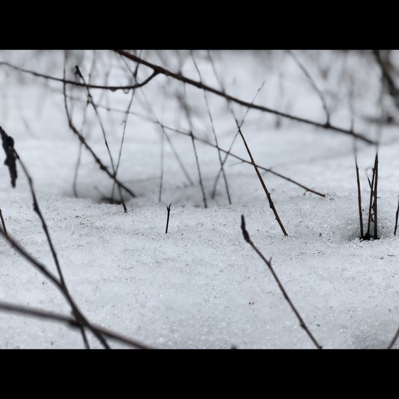 Profile Picture of Alex Flynn (@alexflynnn) on Poshmark