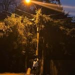 Profile Picture of barry johnson (@barryjohnson.co) on Instagram