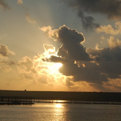 Profile Picture of Nicholas Armour (@juggaloNIC) on Twitter