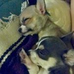 Profile Picture of Pedro&Mateo (@pedroandmateo) on Instagram