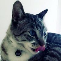 Profile Picture of Scott Summerfield (@scott-summerfield-17) on Quora