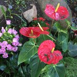 Profile Picture of Nanch Helgeson (@nhelgeson4ang) on Instagram