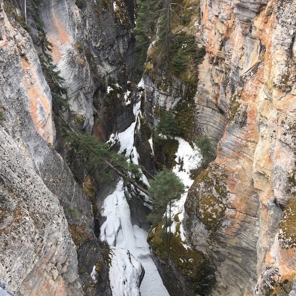 Profile Picture of Grace Scheel (@gracescheel) on Poshmark