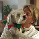 Profile Picture of Mandy Rhodes (@mandyrhodes4) on Instagram