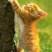 Profile Picture of Xiaoning Guo (@graceguo08) on Pinterest