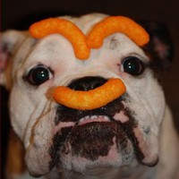 Profile Picture of Chris Lough (@chris-lough-5) on Quora