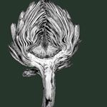 Profile Picture of Tim Monroe (@backtobetter) on Instagram