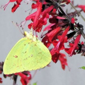 Profile Picture of Leann Mcclain (@le.mcclain) on Myspace