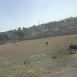 asher biniam seip - Instagram Profile Picture of asher biniam seip (@bini4se) on Instagram