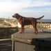 Profile Picture of Greg Meyer (@greg.meyer.1806) on Facebook