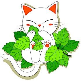 Profile Picture of 𝙘 𝙖 𝙩 𝙣 𝙞 𝙥 (@catnip_exchange) on Twitter