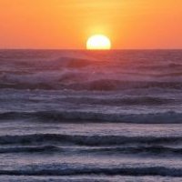 Profile Picture of David Halliwell (@IrishseaDave) on Twitter