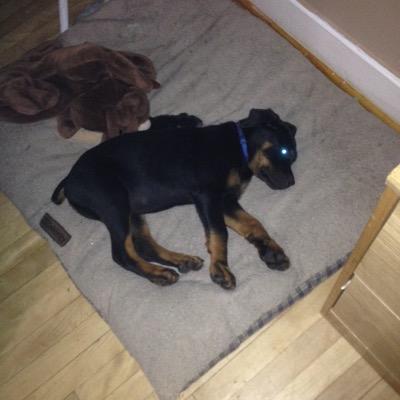 Profile Picture of Jade Wiseman (@JadeWiseman4) on Twitter