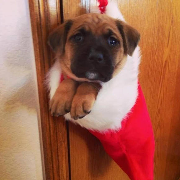 Profile Picture of Lindsey Richling (@lindseyrichling) on Poshmark