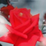 Profile Picture of Rita Ahmed (@rita.ahmed.1238) on Instagram