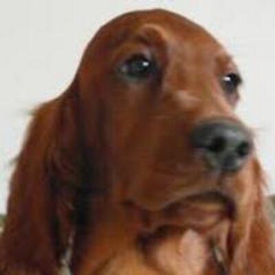 Profile Picture of Jessica Marsden (@jessicamarsden3) on Twitter