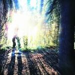 Profile Picture of Lisa Grau (@happylizui) on Instagram