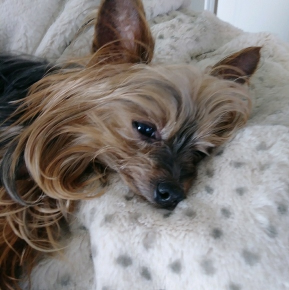 Profile Picture of Jena Krein (@jmk30460) on Poshmark