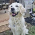 Profile Picture of Donna Scowden (@donna.scowden) on Facebook