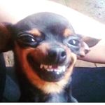 Profile Picture of isabel plasencia #1 fan (@plasenciaaaa_fan) on Instagram