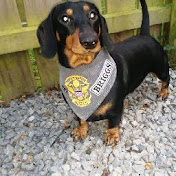 Profile Picture of Pamela Harper (@pamelaharper8728) on Youtube