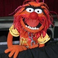 Gavin McMahon - Twitter Profile Picture of Gavin McMahon (@Therook77Gav) on Twitter