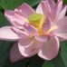Profile Picture of Heather Blackwell (@heather.blackwell.37604) on Facebook