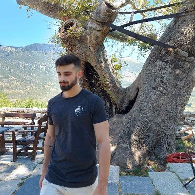 Profile Picture of Mavrogiannakis Gerasimos (@Gerasimos_Mav) on Twitter
