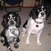 Profile Picture of Kelly Platteter (@kellyjplatt) on Pinterest