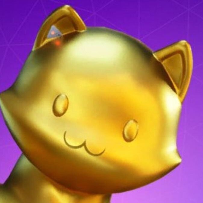 Profile Picture of user3273944886746 (@shawnmacquarrie2) on Tiktok