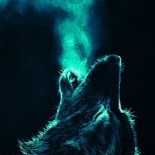 Profile Picture of Matthew Elder-Towner (@ElderTowner) on Twitter