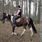 Profile Picture of Janek Twardowski (@janek_twardowski) on Instagram