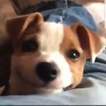 Profile Picture of mike_nguyenn (@mike_nguyenn) on Instagram