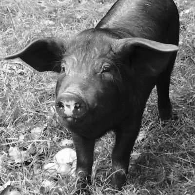 Profile Picture of Claire Tyler (@holdingonblog) on Twitter