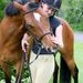 Profile Picture of Jamie Hocking (@jamie203) on Pinterest