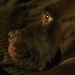 Profile Picture of Seth Hunter Renner (@renner.hunter) on Instagram