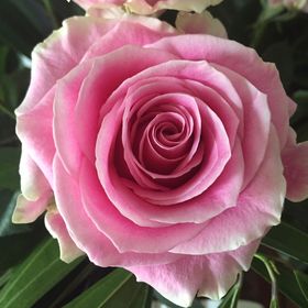 Profile Picture of Matute Martinez (@matutemartinez) on Pinterest