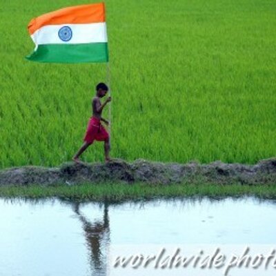 Profile Picture of Edwin Wilson (@edwin_Indian) on Twitter