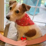 Profile Picture of Marilyn Gothard (@Marilyn-Gothard) on Facebook