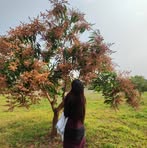 Profile Picture of Elizabeth Mangai (@elizabeth.mangai) on Facebook