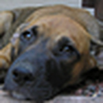 Profile Picture of Ayesha (@ayesha's eye) on Flickr