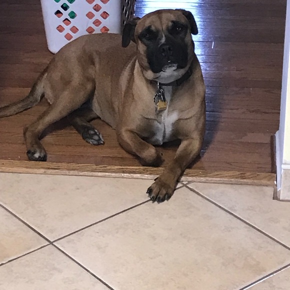 Profile Picture of Tracie Wallace (@beastmode4) on Poshmark