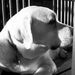 Profile Picture of Dawn Eckhoff (@smilingdawn32) on Pinterest