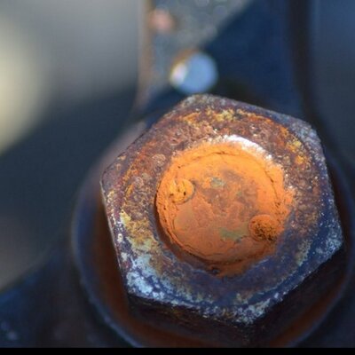 Profile Picture of Grant Lowe (@scenebyme) on Twitter