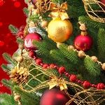 Profile Picture of Troy Light (@troylight5000) on Instagram