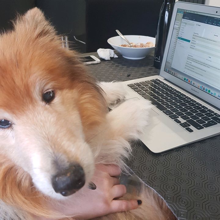 Profile Picture of Barry Warren (@oliella1) on Tiktok