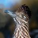 Profile Picture of Jeff Dunaway (@revjdunaway) on Pinterest