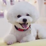 Profile Picture of Richard (@honour19992019) on Instagram