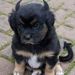 Profile Picture of Moran Omar (@margaretmec0265) on Pinterest